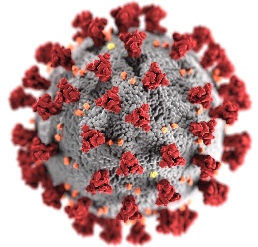 De editie van 2020 is afgelast vanwege het Coronavirus.